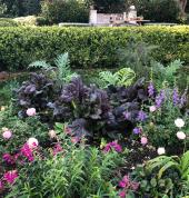 flower treatments and designs