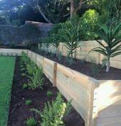 flower boxes and designs