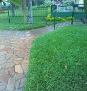 pavements cleaning and trimming