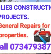 Lilies Painter Middelburg CBD Painters 1_small