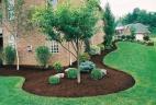 Year End Special Tree Felling Discount Muizenberg Tree Cutting , Felling & Removal