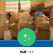 ChemDry Professional Carpet Cleaners Table Bay Tableview Carpet Cleaning & Dyeing 3_small