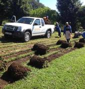 INSTANTLAWNSUPPY Bedfordview Garden & Landscaping Contractors & Services 2_small