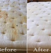 Emvian group Claremont Cleaning Contractors & Services 9_small