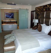 Showerline Gliding Glass Doors_ Room Divider Custom Design