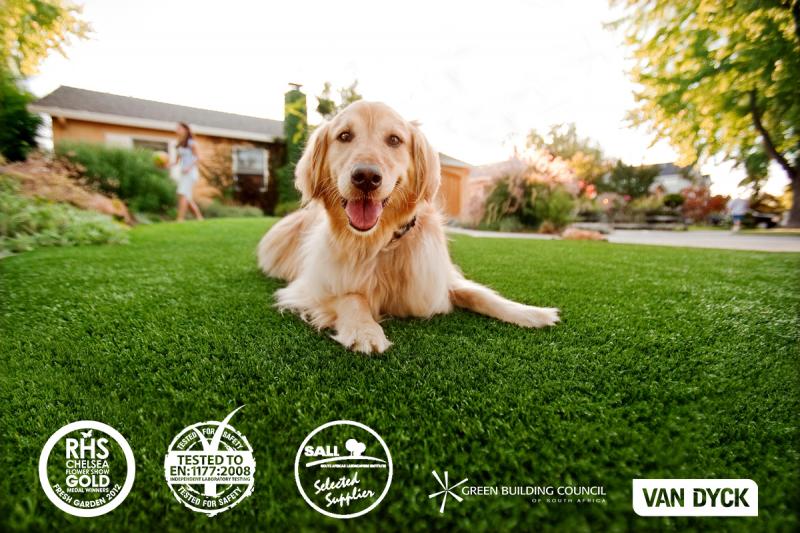 Easigrass Pretoria Artificial Grass Homeimprovement4U