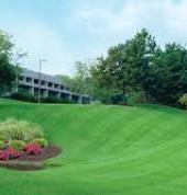 PerryS Garden Services Cc Durban CBD Garden Services & Lawn Mowing 1_small