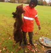 Roots removal from Drains