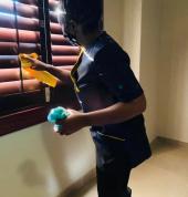 La Estella Cleaning Services Westville North Carpet Cleaning 1_small