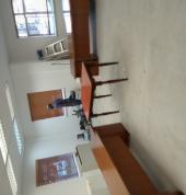 MASHY DELIGHT PROJECTS Randburg CBD Painters 17_small