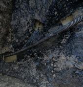 Unblocking of Drain. Removed Roots from Treess