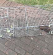 From 450 Superior Pest Exterminator SA Fourways Pest Control Contractors & Services 9_small