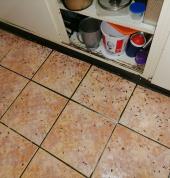 From 450 Superior Pest Exterminator SA Fourways Pest Control Contractors & Services 11_small