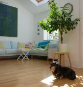 Vinyl laminate