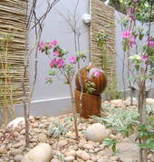 Scapeman Landscaping Cape Town Central Garden Landscapers & Designers 2_small