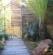 Scapeman Landscaping Cape Town Central Garden Landscapers & Designers 3_small