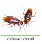 The Specialists Pest Control West Rand Randfontein CBD Pest Control Contractors & Services 2_small