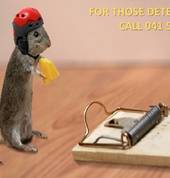 Pescor Pest Control Walmer Pre-construction Pest Control 5_small