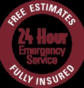 Emergency tree removal in Pretoria