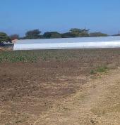 green house successfully installed