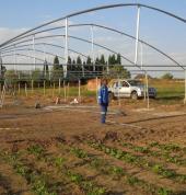 setting up of a greenhouse