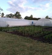 green house installed