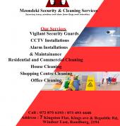 Flier 1