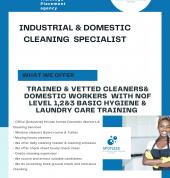 Spotless Recruitment and Skills Development Port Elizabeth Central Office Furniture Cleaning 1_small