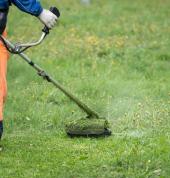 SA Landscaping Johannesburg CBD Garden Landscapers & Designers 2_small