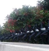 Rotating Flat wall Spikes in Cape Town