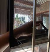 Bug Out Magnetic Window Screens