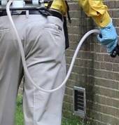 Pest Control Companies