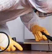 Pest Control Services