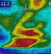 Note water marks in ceiling from roof leaks that the buyer cannot see !