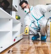 Get Pest Control Alberton Alrode Pest Control Contractors & Services 1_small