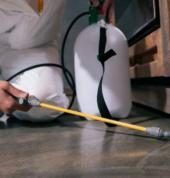 Get Pest Control Alberton Alrode Pest Control Contractors & Services 2_small
