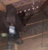 Imbali pest control Johannesburg CBD Pest Control Contractors & Services 2_small