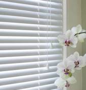 OAKMAN EAST interiors Somerset West CBD Curtain Suppliers 4_small