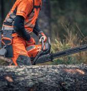 tree removal pretoria