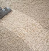 The Specialists Cleaning Services East London East London Central Cleaning Contractors & Services 1_small