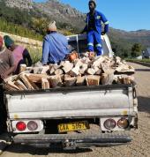 Tree picese transportation