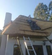 Thatch Supplier - WGM Projects and Services Pinetown Central Thatching 3_small