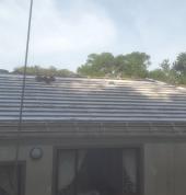 Precision coatings Roodepoort CBD Roof water proofing 3_small