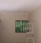 Ceiling installation & Painting
