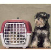 Movit Mobility Johannesburg CBD Removalists 3_small