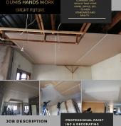 Ceiling installation and rhino lite