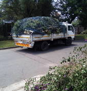 Removal of cuttings from site