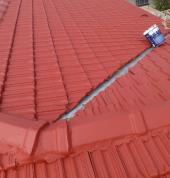 ROOF CLEANING AND PAINTING