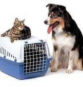 BusyBee Removals Johannesburg CBD Removalists 2_small