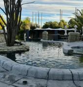 Narure Earth Worx Grahamstown CBD Swimming Pool Builders 2_small